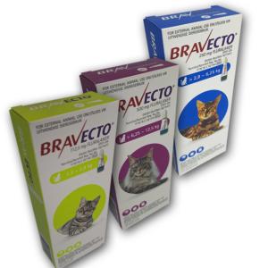 Bravecto Cats
