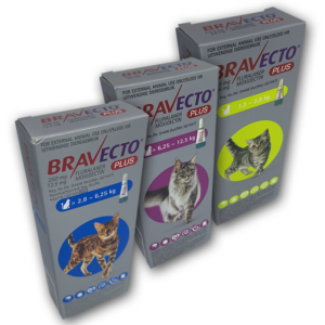 Bravecto PLUS Cats