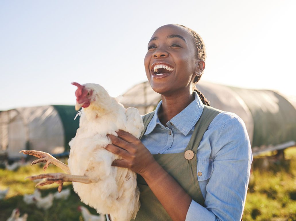 Farm, chicken and happy black woman in field, countryside and nature for agriculture, growth and ecology. Agro business, sustainable farming and farmer with bird for free range poultry production.